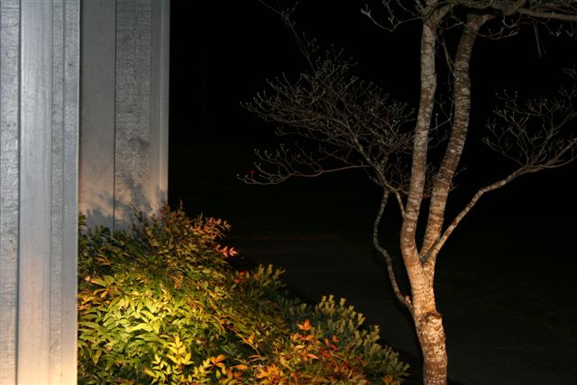 [IMG_6310.JPG]