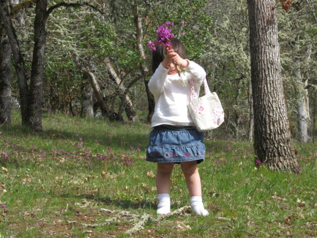 [flower4.JPG]