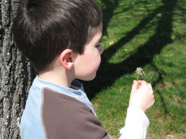 [IMG_0092.JPG]