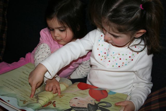 [IMG_7362.JPG]