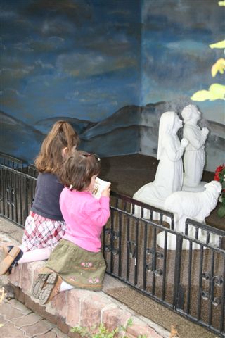 [IMG_0167.JPG]