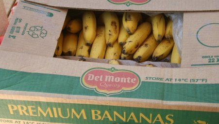 [bananabox.JPG]