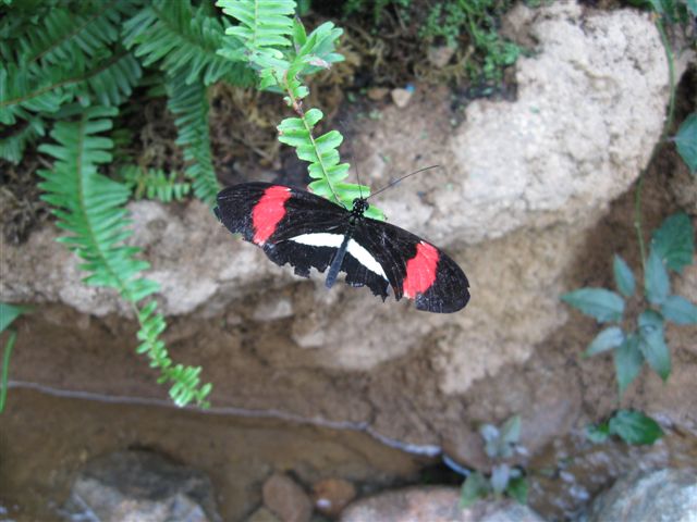 [IMG_1432.JPG]