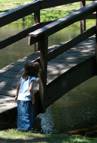 [bridge+(2).JPG]