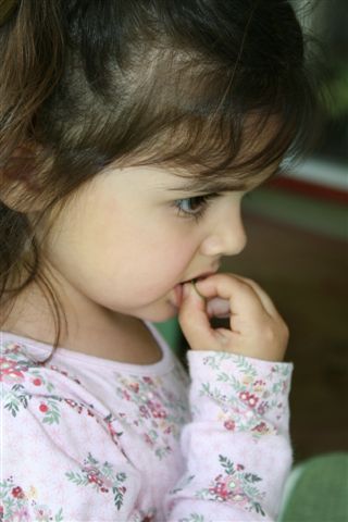 [IMG_3934.JPG]