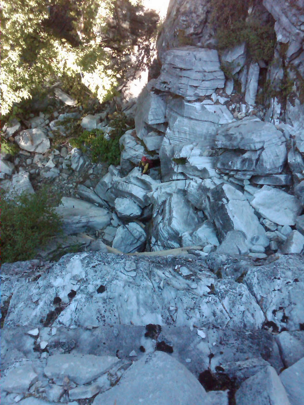 [IMG00040-20090901-1746.jpg]