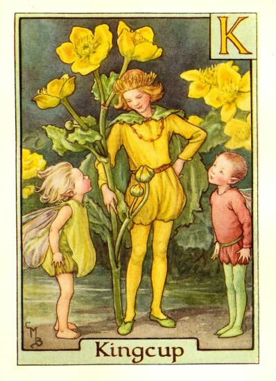[kingcup_flower_fairy.jpg]