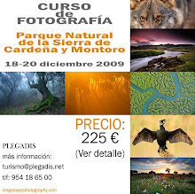 Curso fotográfico