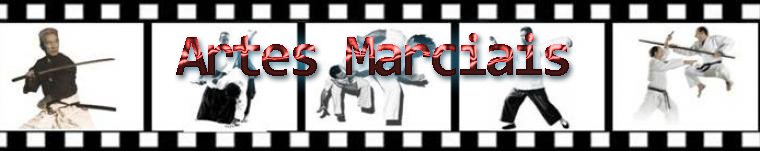 Artes Marciais