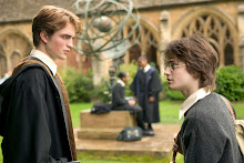 Harry Potter y Cedric Diggory (L)