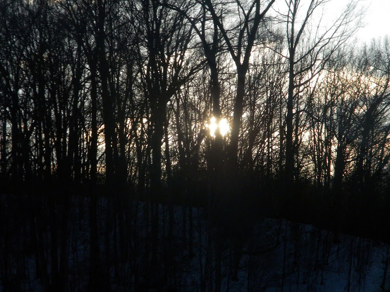 Sunset Photos.
