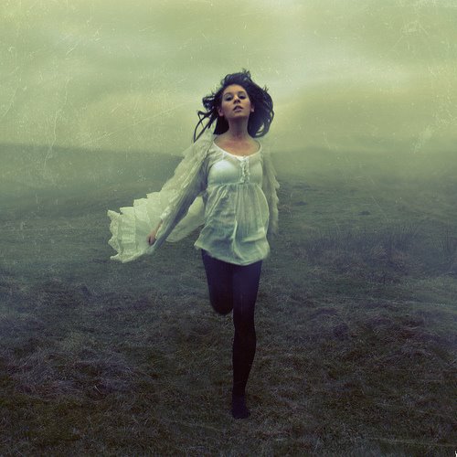 [3233598239_cb29bcc820.jpg]