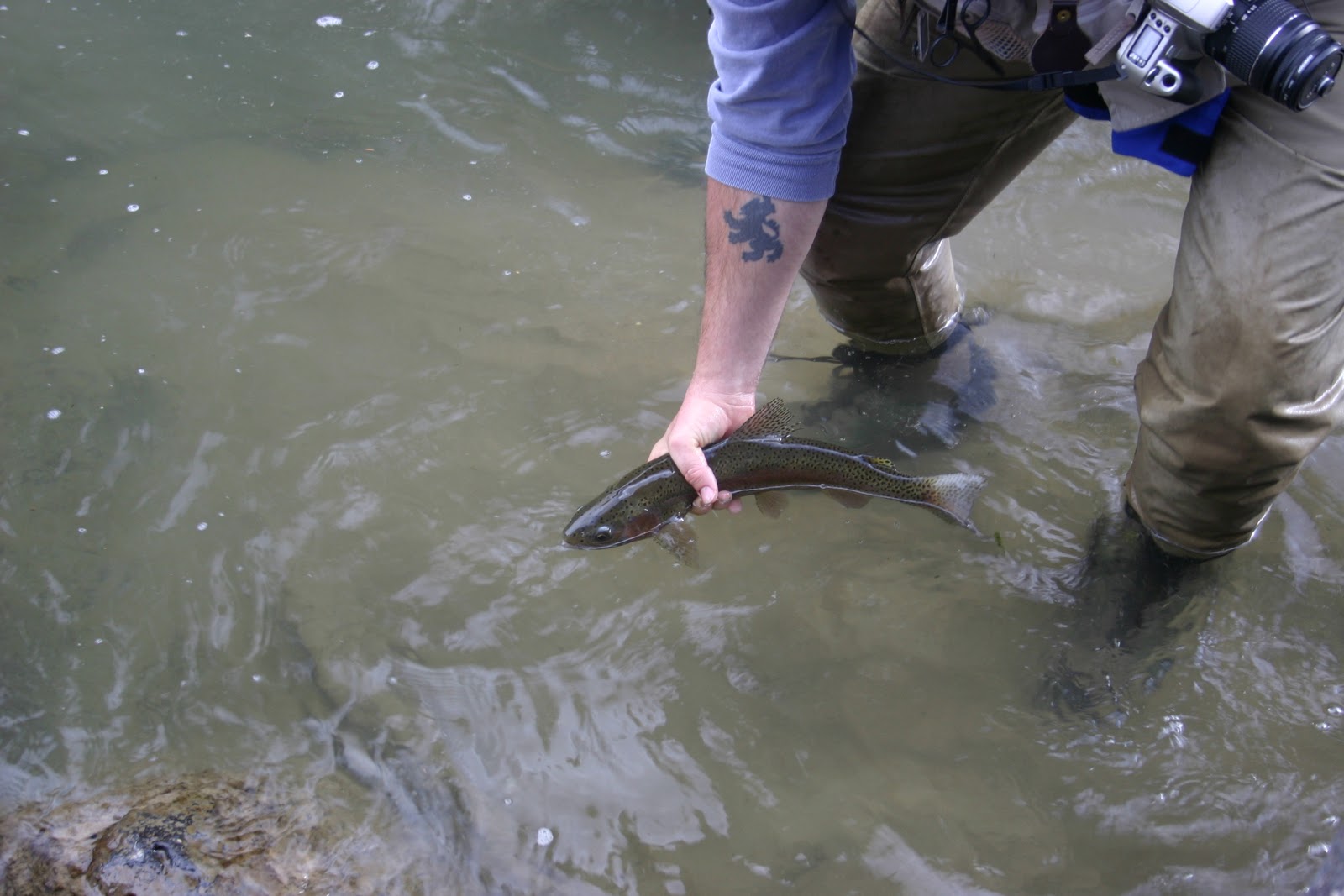 Fishing Our Way Across Colorado 50 Days 2 Writers Fishing the Red