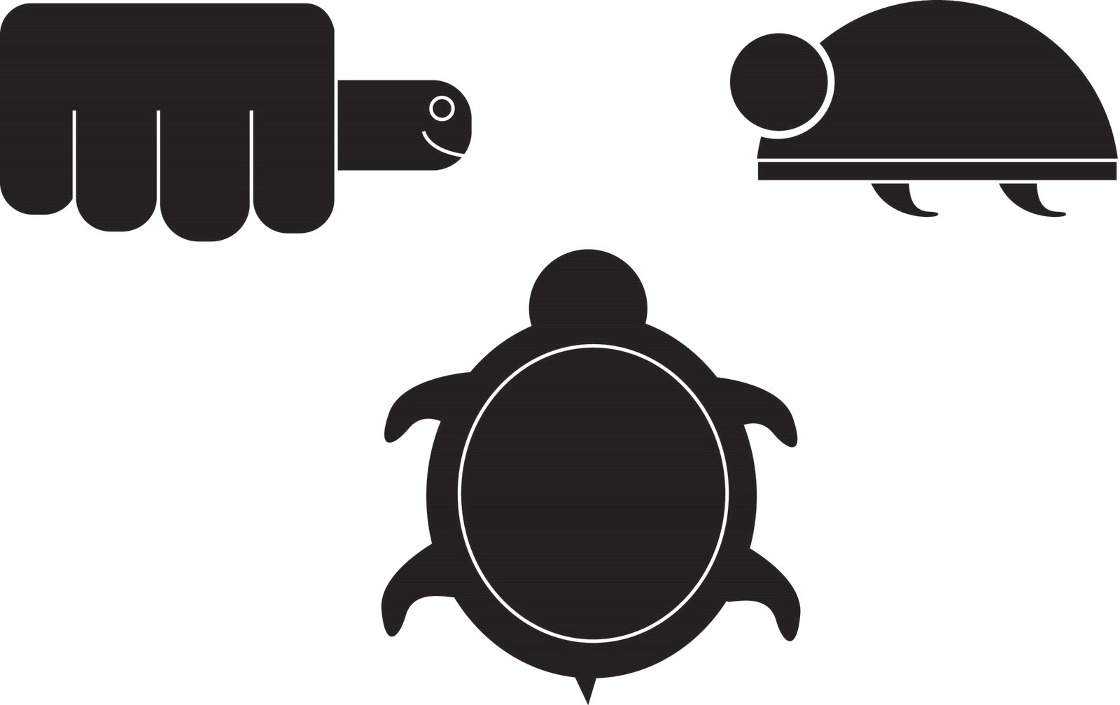 Gabby Symbols and Distribution Top 3 turtle symbols