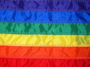 [543733_rainbow_gay_pride_flag.jpg]