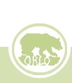 [background_logo.jpg]