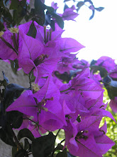 Herzlich Willkomen auf der internetseide von Marzena Pisarek