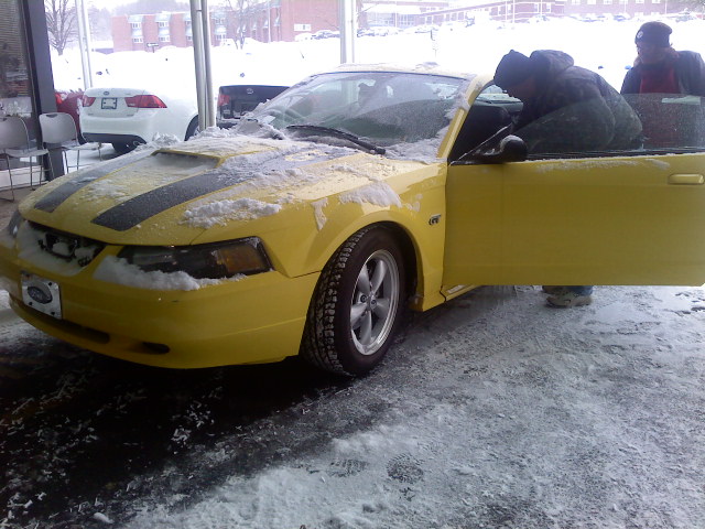 Courtesy Ford Altoona Pa >> Bryan's Mustang Courtesy Ford Altoona Pa >> Bryan's Mustang