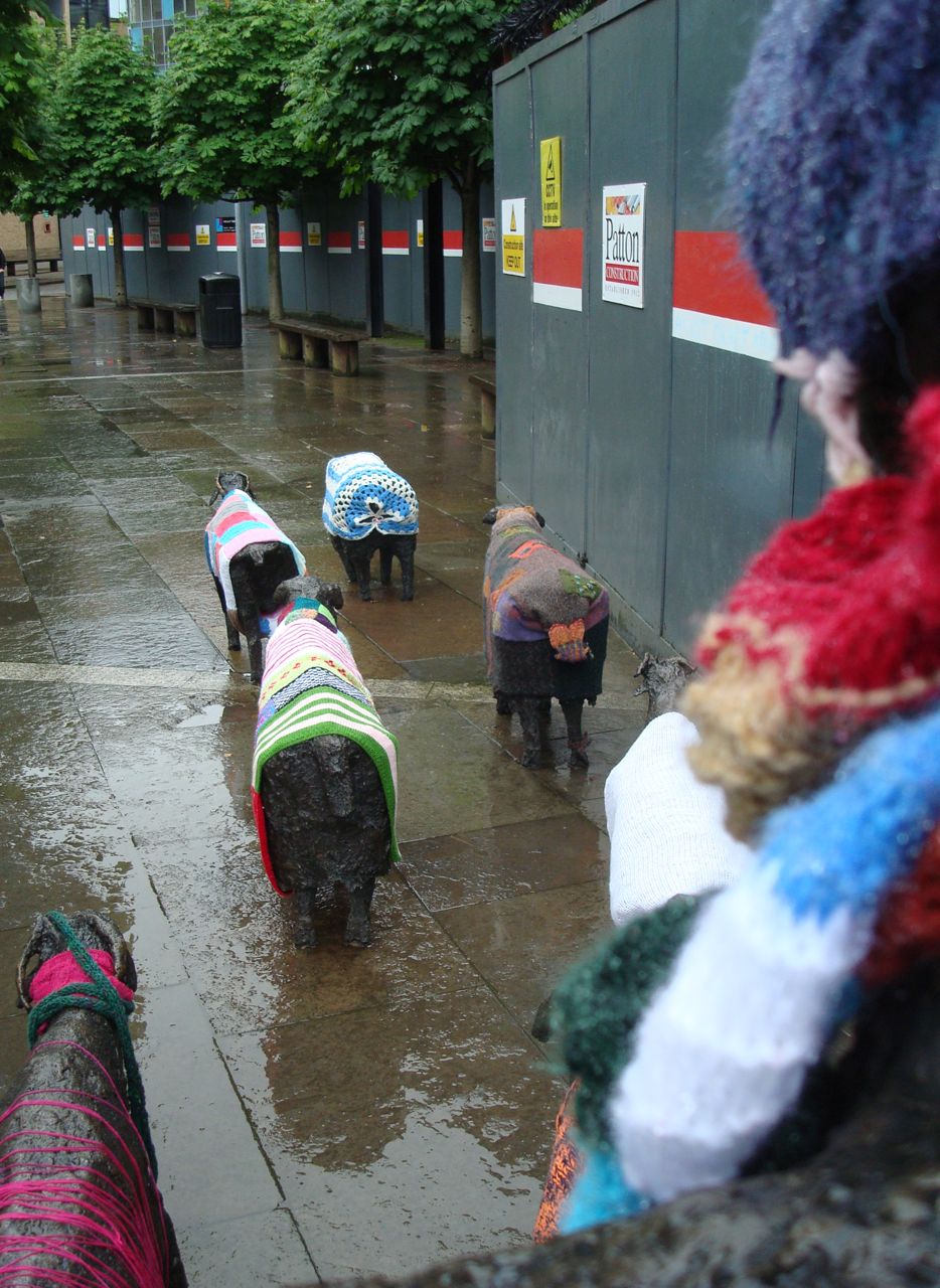 Alan in Belfast Guerilla knitting hits the Waterfront flock