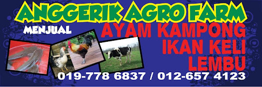 ANGGERIK AGRO FARM - BACKYARD CHICKEN FARM