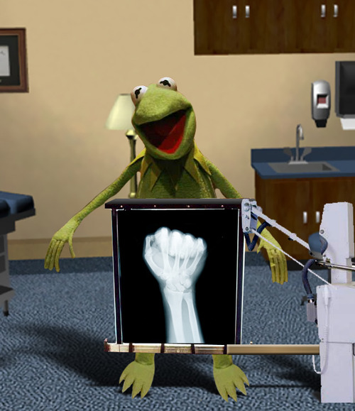 [KERMIT+BP.jpg]