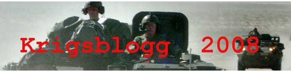 Krigsblogg 2008