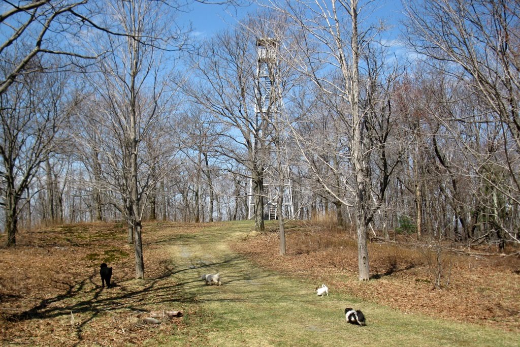 Windswept Adventure Daphne Hikes Beebe Hill, Part 3