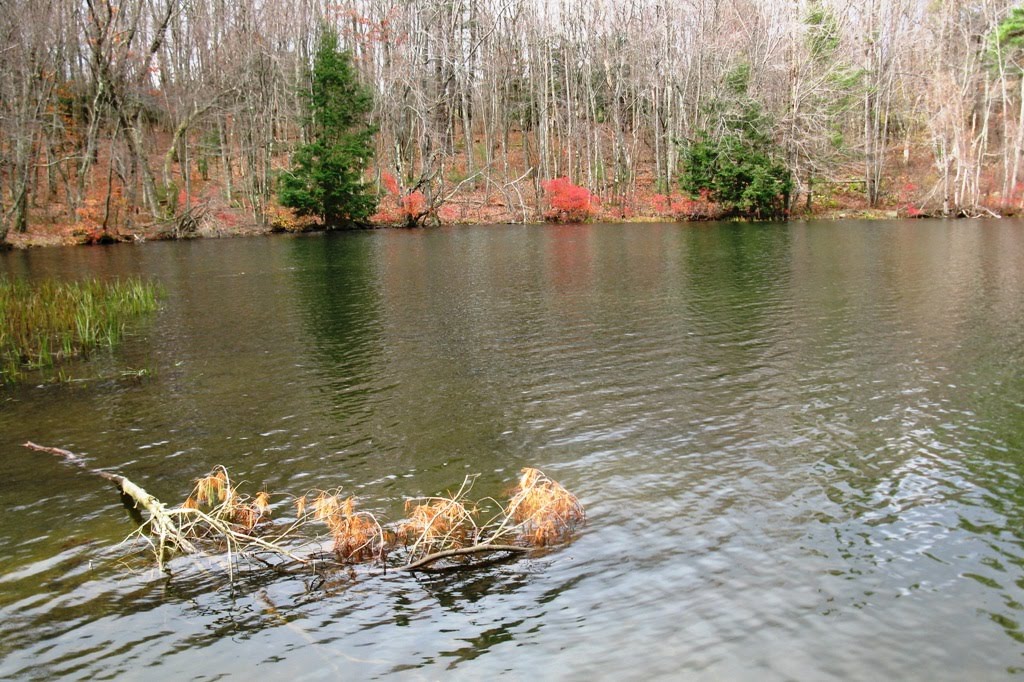 Windswept Adventure We Arrive At Grafton Lakes State Park