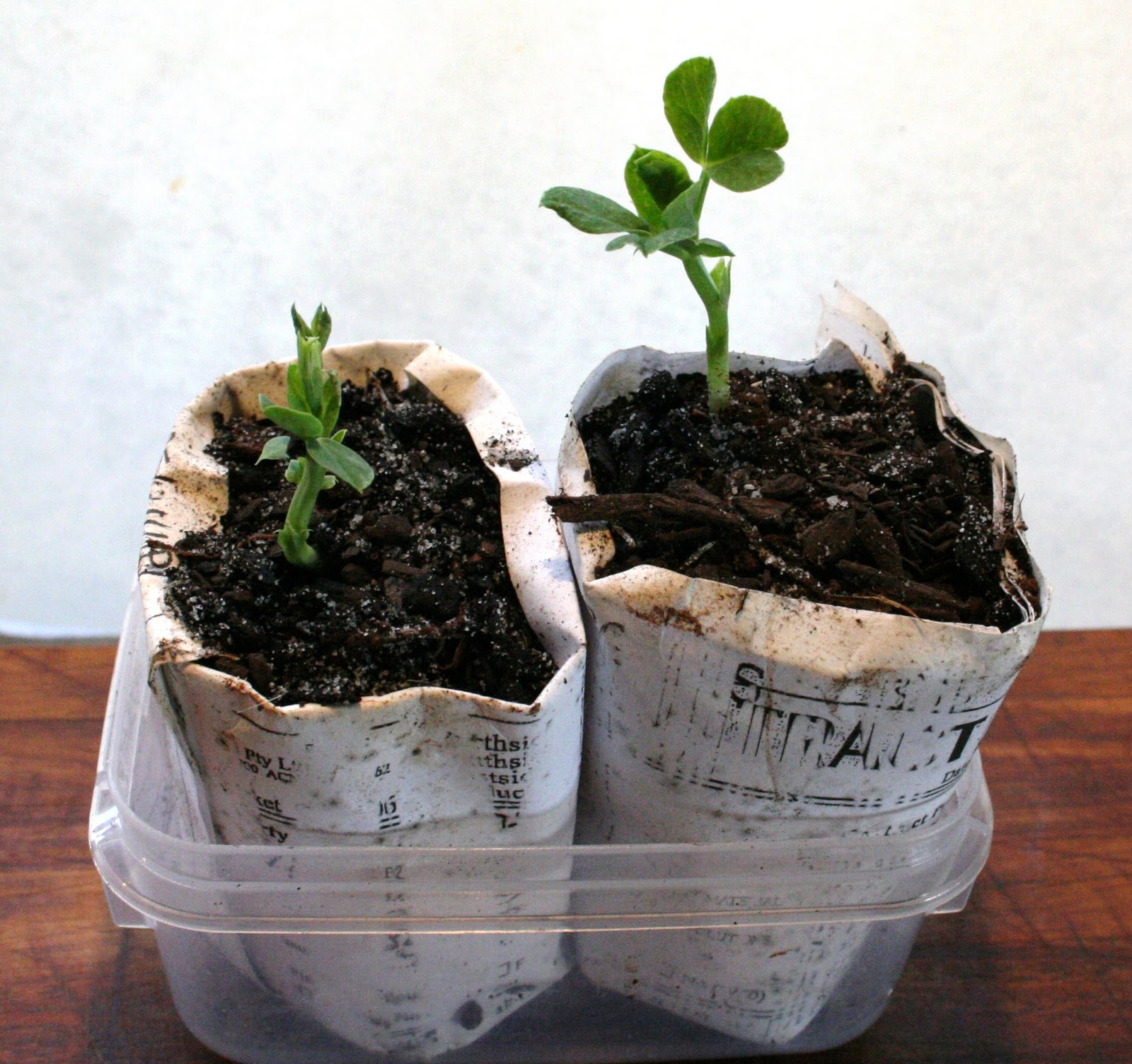 wannabeahippy Recycled Newspaper Pots Tutorial