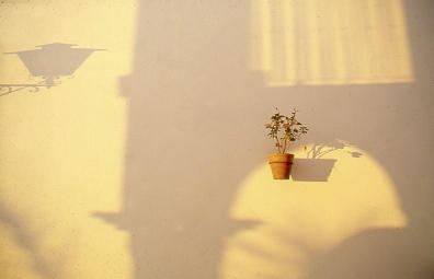 [Aguilassombras.JPG]