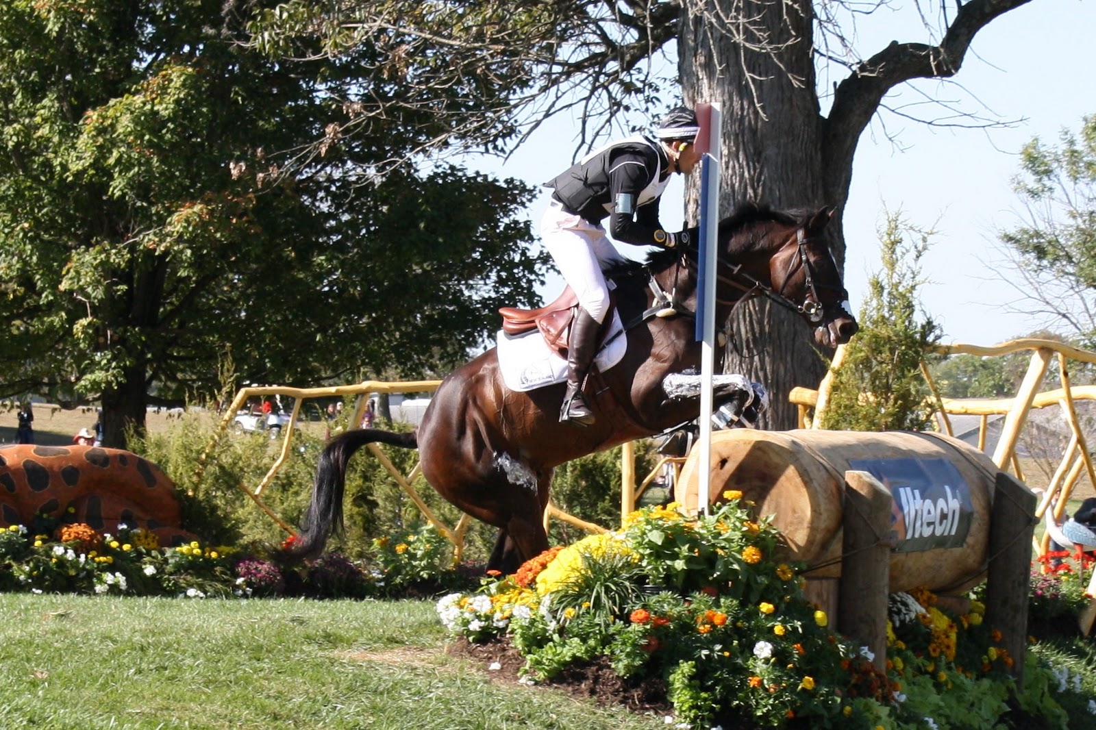 World Equestrian Games 2010 NZL Cross Country Jump 5