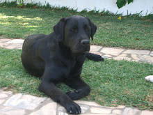 Guty de vale d`Aragao