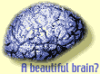 [a+beautiful+brain.gif]