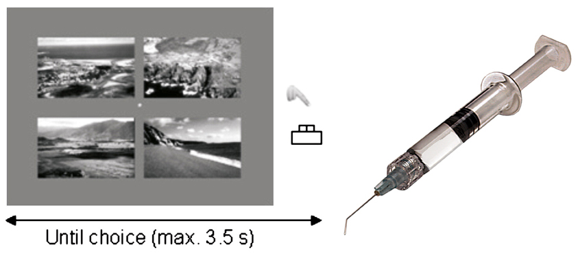 [novel+pictures+just+like+cocaine.jpg]