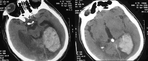 [Dide–Botcazo_Fig3.jpg]