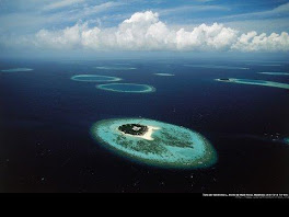 Un lugar perfecto....