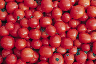  tomates
