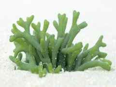 Menos sal en los alimentos