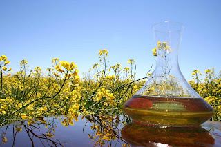 Aceite de canola
