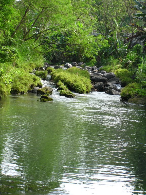 My fishing trip pemandangan sungai bagus My fishing trip pemandangan sungai bagus