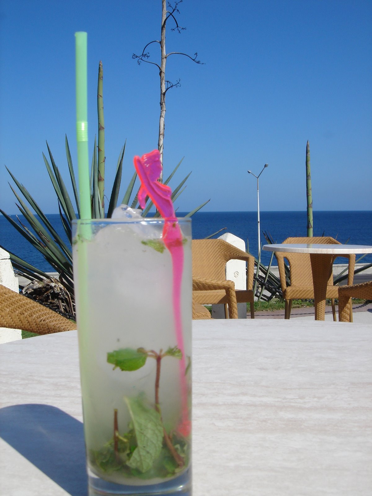 [DSC05687.JPG]