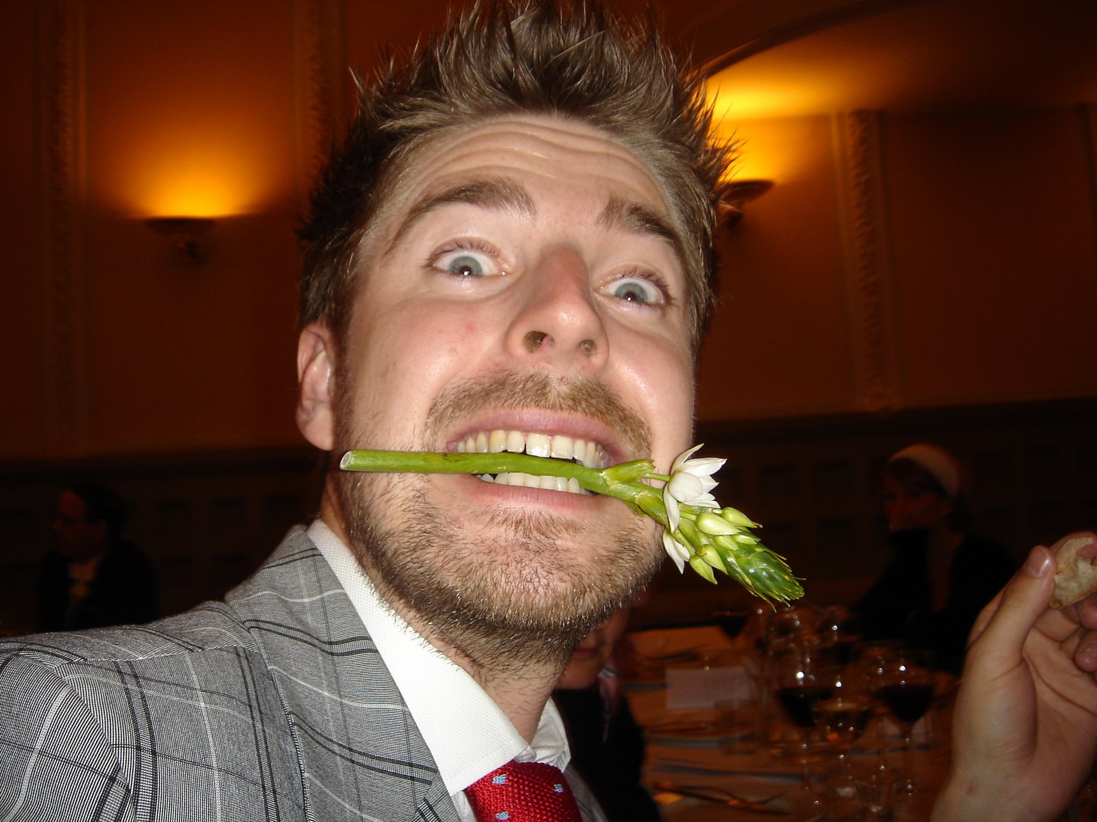 [DSC06176.JPG]