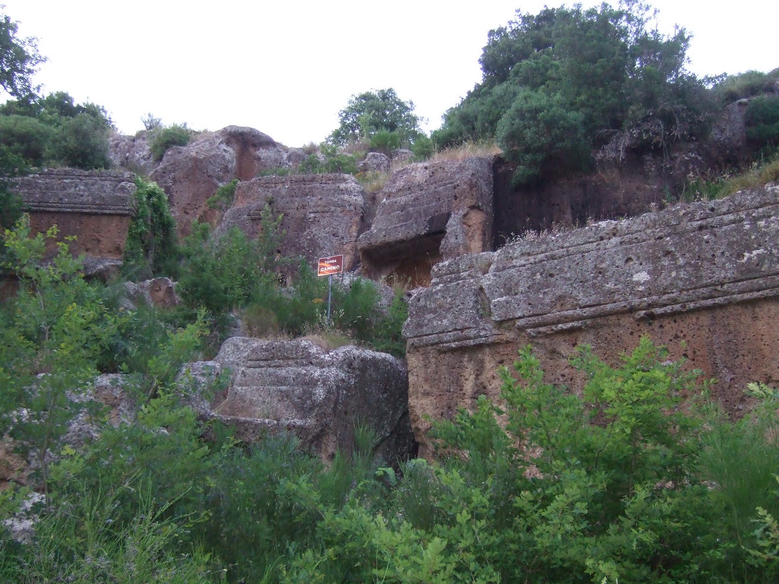 Tocho T8 La ciudad de los muertos etrusca