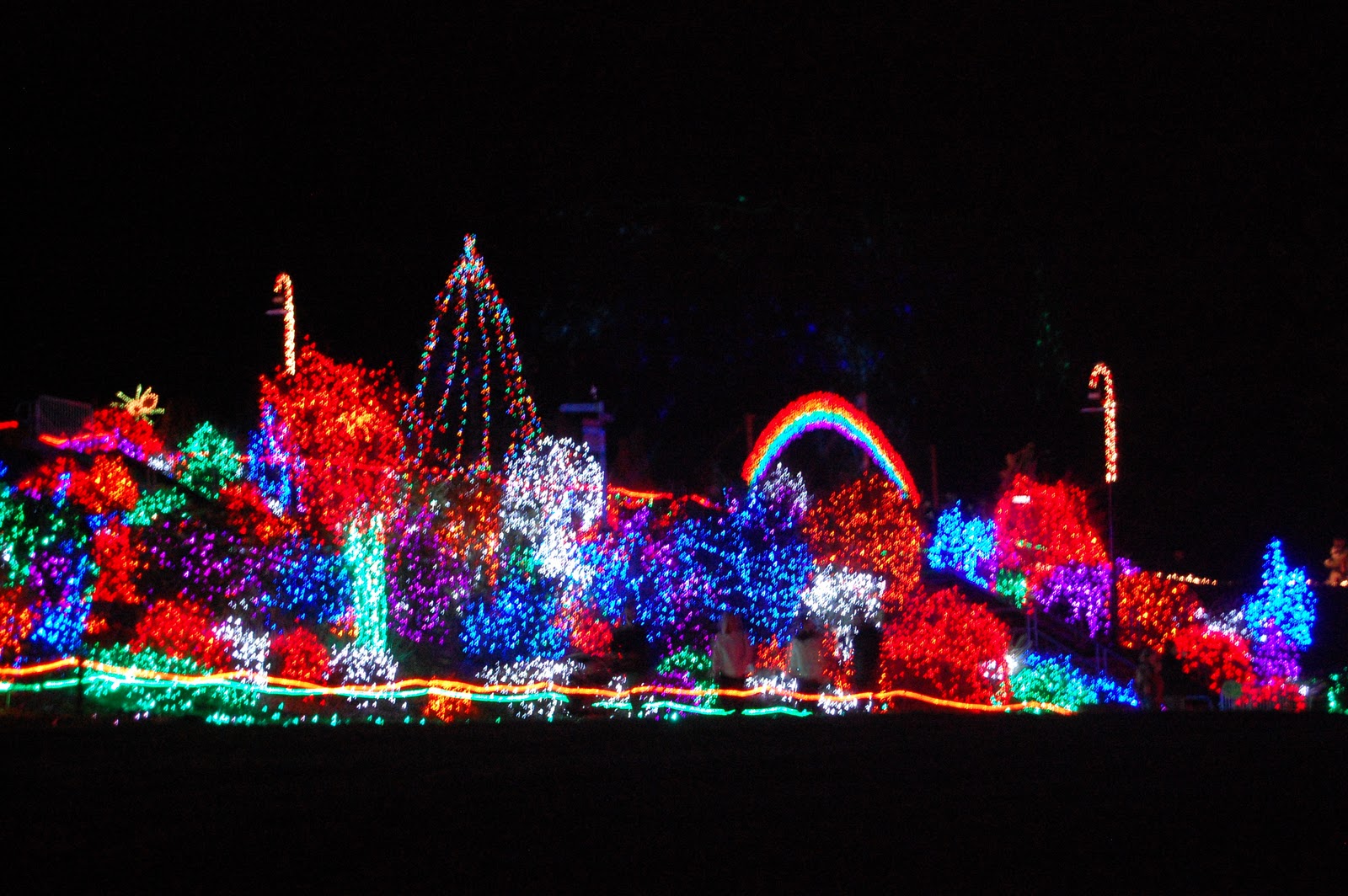 The Little Moments Zoo Lights