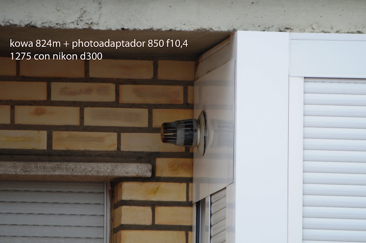 DSC_8238.JPG