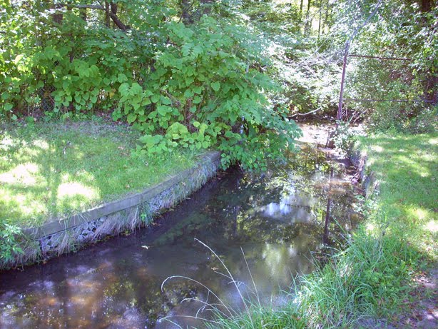[DSCN5454.jpg]