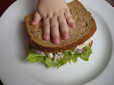 Chicken salad on sandwich with lettuce.