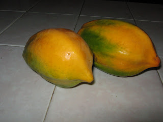 papapapaya papapapaya