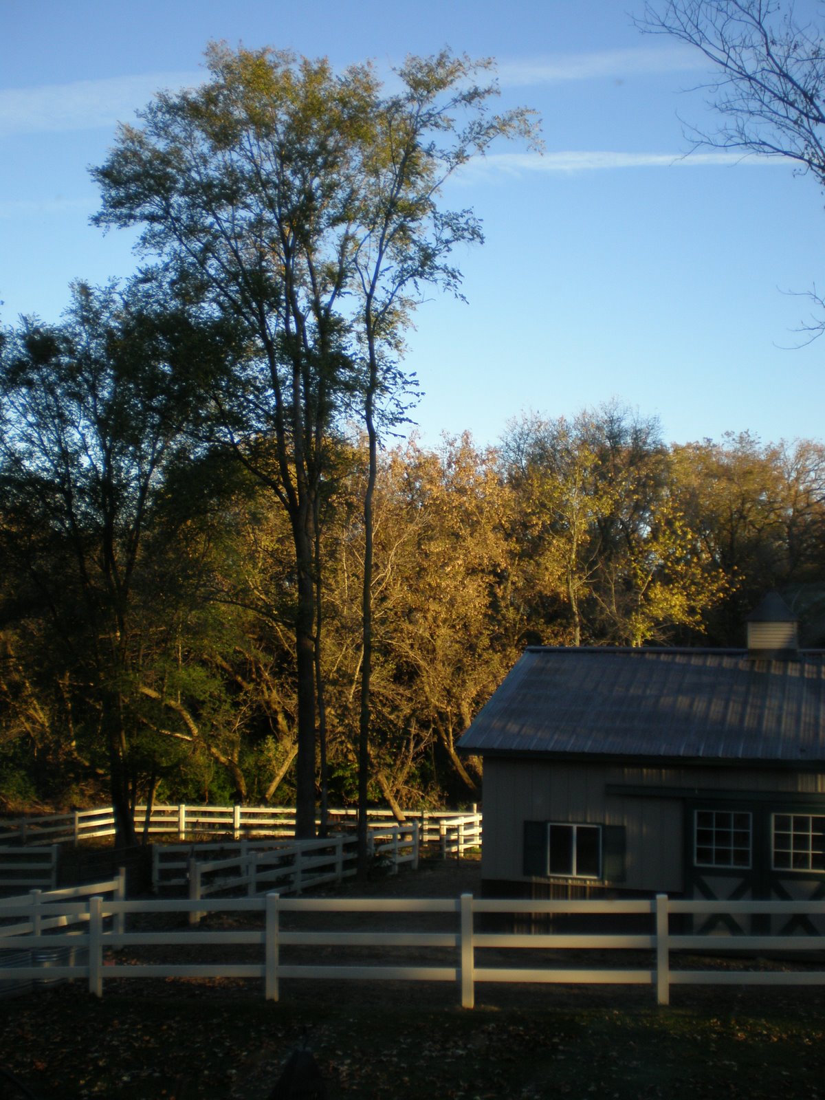 [2008+10+29_0151.JPG]