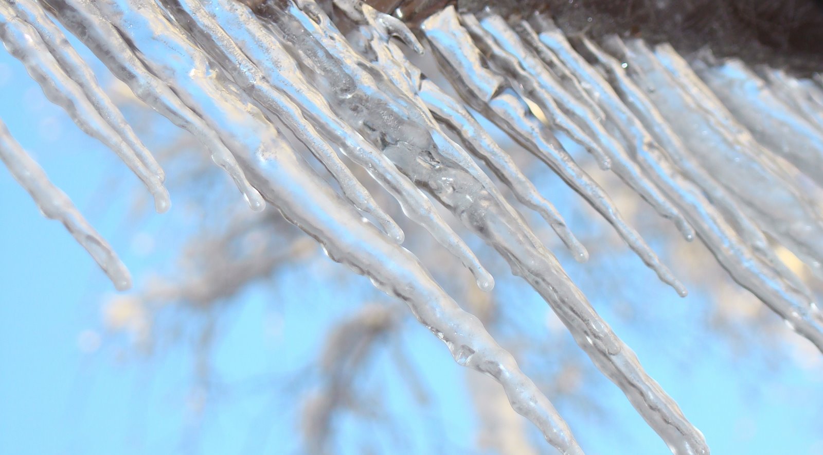 [puppets+&+snow+014.JPG]